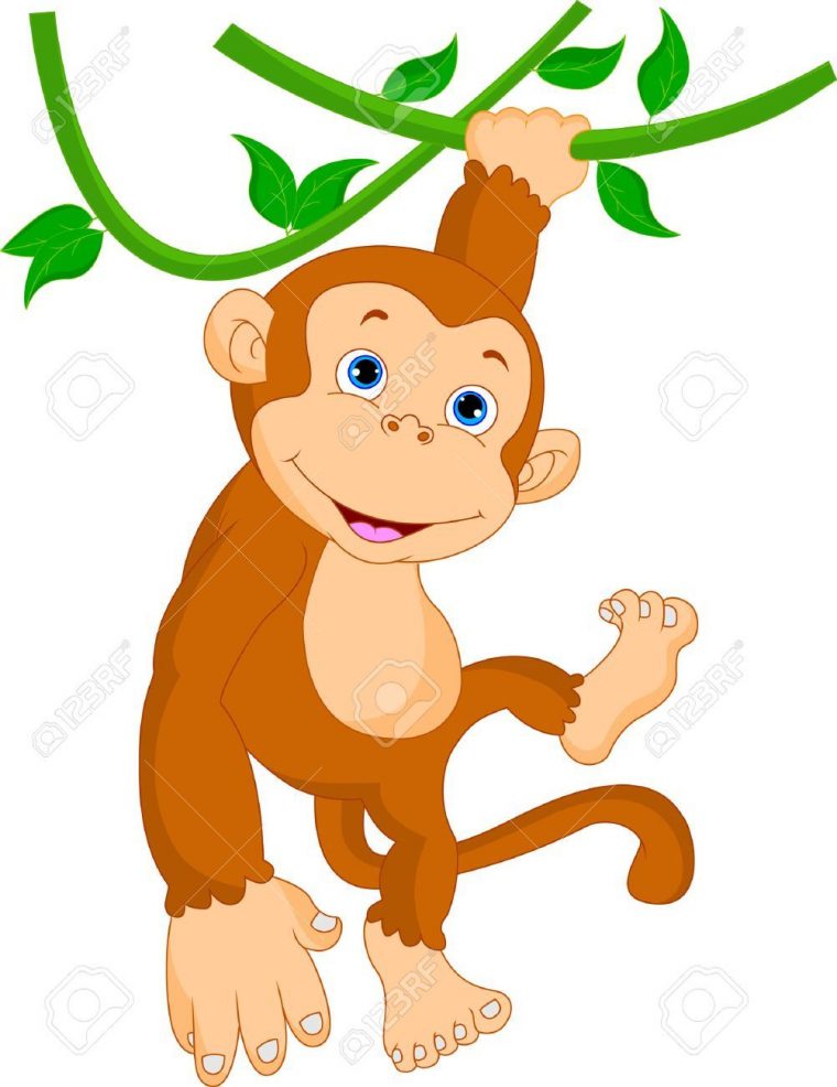 Singe Mignon Dessin Animé Suspendu Clip Art Libres De Droits tout Singe Dessin Animé