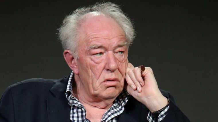 michael gambon vermögen