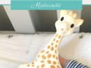 Sophie La Girafe Et Moi   Sophie La Girafe, Maternité, Education avec Sophie La Girafe Dessin