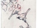 Sparrowmagpie  Bird Drawings, Bird Art, Animal Art dedans Oiseau Dessin