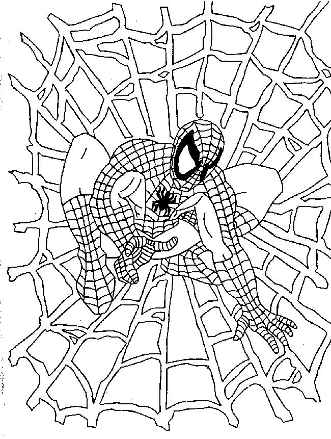 Spiderman Coloring Pages 2  Coloring Pages To Print avec Dessin Spiderman 