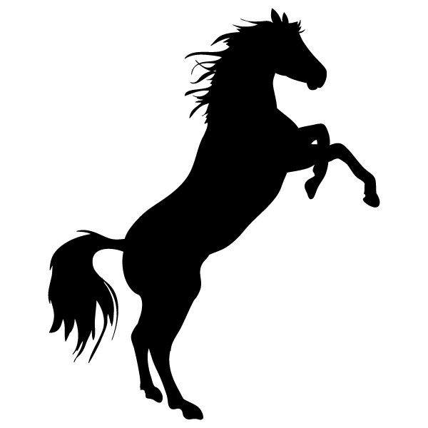 Sticker Cheval - Achetez En Ligne  Silhouette De Cheval, Dessin Cheval à Silhouette D Animaux À Imprimer 