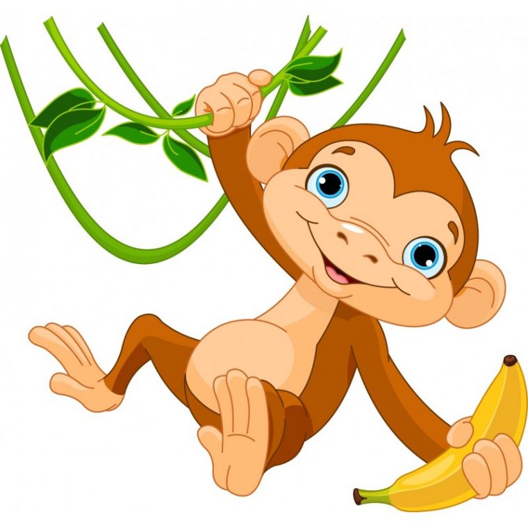 Stickers Enfant Singe Liane – Art Déco Stickers destiné Dessin De Singe En Couleur