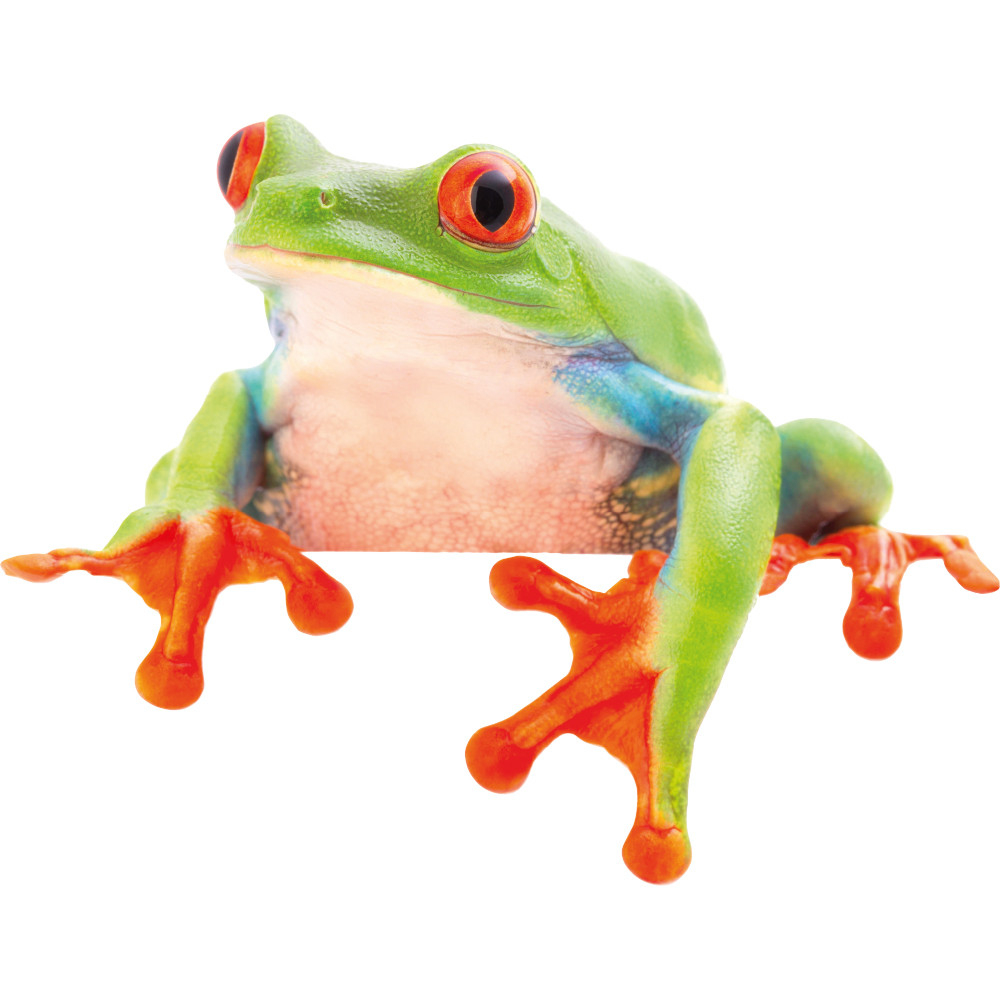 Stickers Grenouille - Des Prix 50% Moins Cher Qu&amp;#039;En Magasin dedans Grenouille En Anglais 