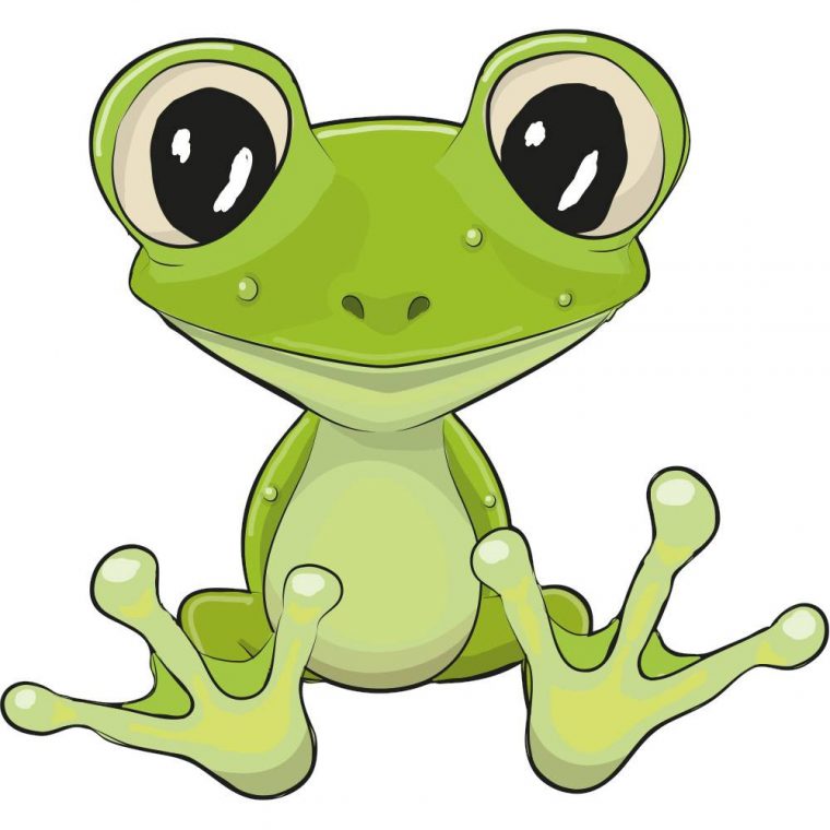 Stickers Grenouille – Des Prix 50% Moins Cher Qu'En Magasin encequiconcerne Grenouille En Anglais