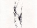 Structure Cigale Drawing I By Francoisestudio On Etsy, $20.00 Archival concernant Dessiner Une Cigale