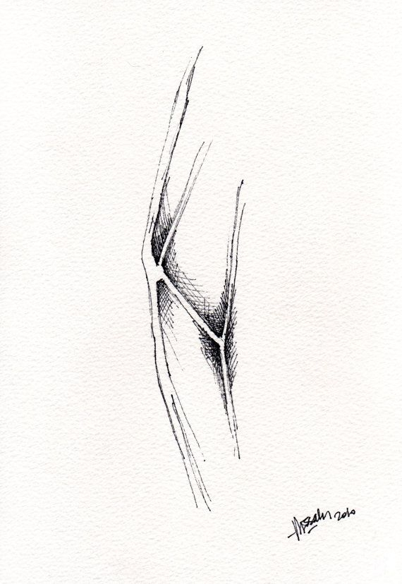 Structure Cigale Drawing I By Francoisestudio On Etsy, $20.00 Archival concernant Dessiner Une Cigale