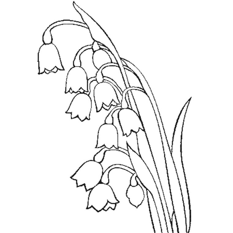 Top21+ Dessin Muguet Aperçu – Lesgenissesdanslmais pour Coloriage Muguet A Imprimer