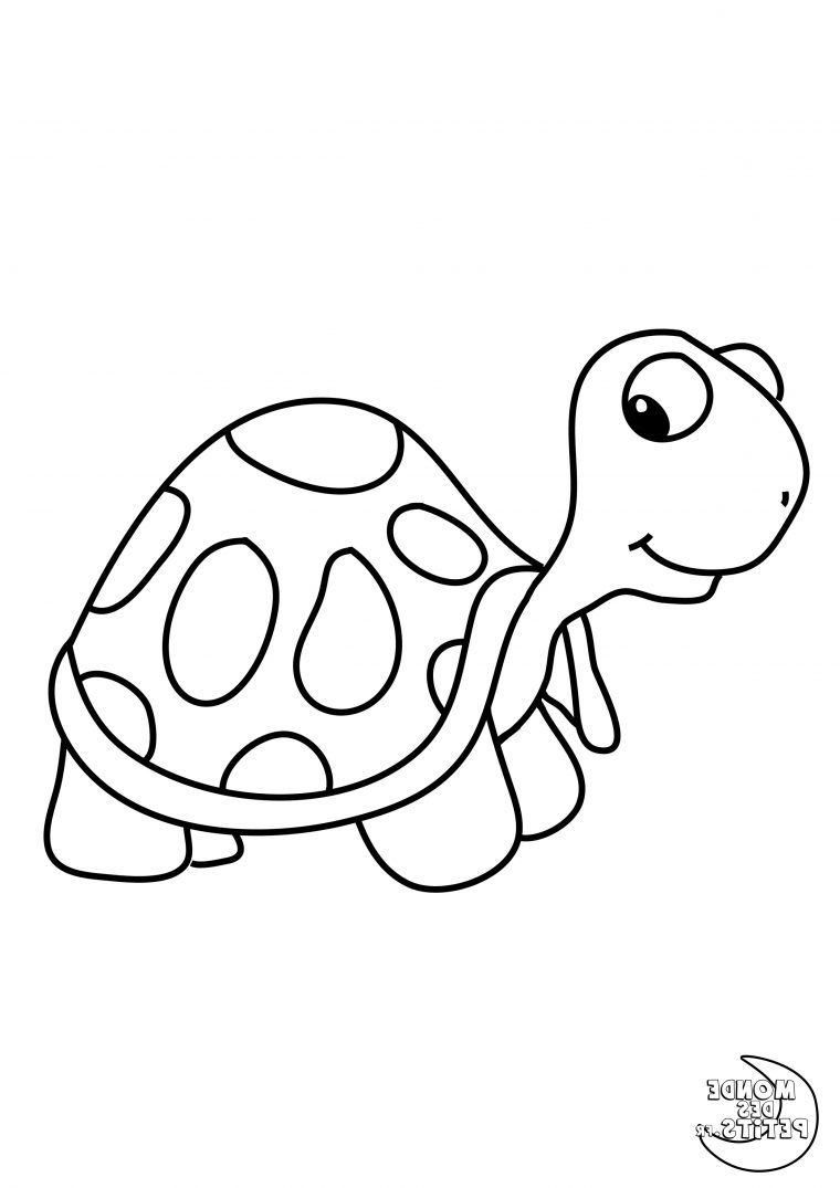 Tortue Dessin Facile Cool Galerie Monde Des Petits Coloriages À encequiconcerne Dessin Tortue Facile