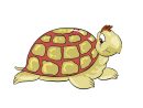 Tortue Illustration - Animal Images - Zoo Dessin, Picture, Image tout Dessin Tortue Facile