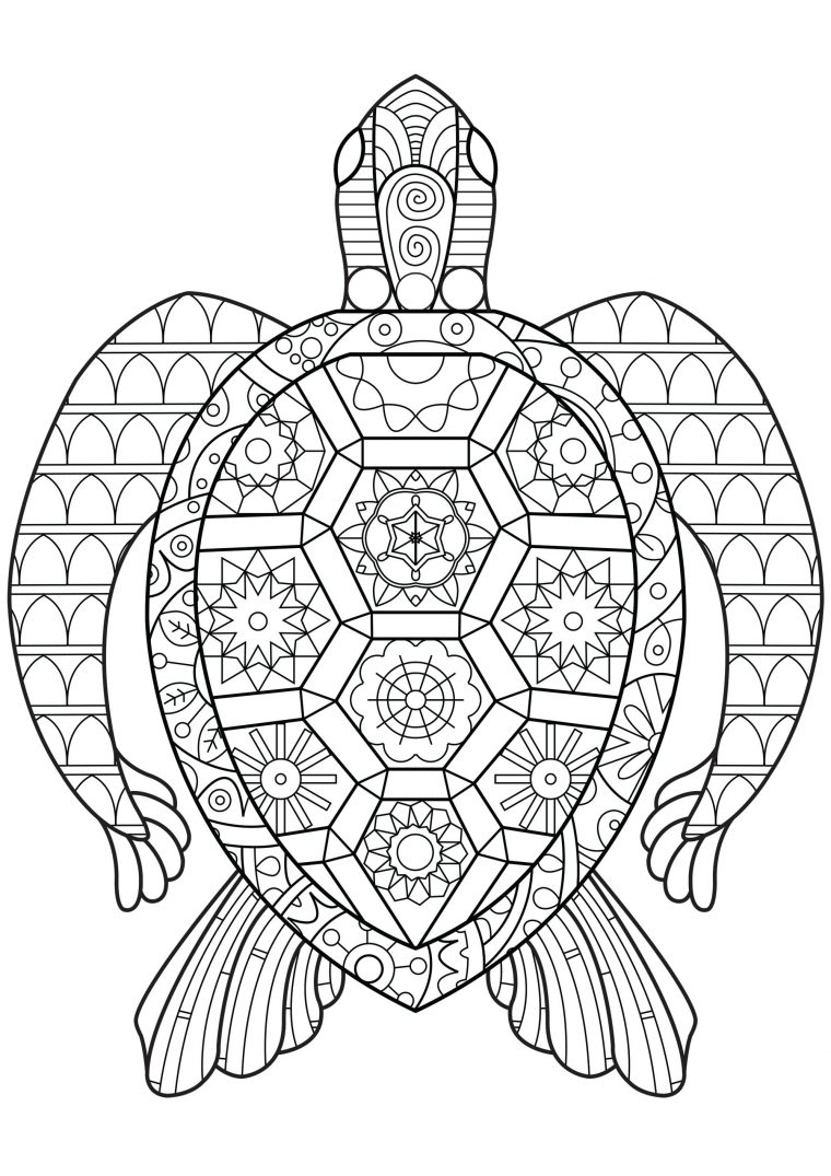 Tortue Zen – Tortues – Coloriages Difficiles Pour Adultes destiné Coloriage Animaux A Imprimer