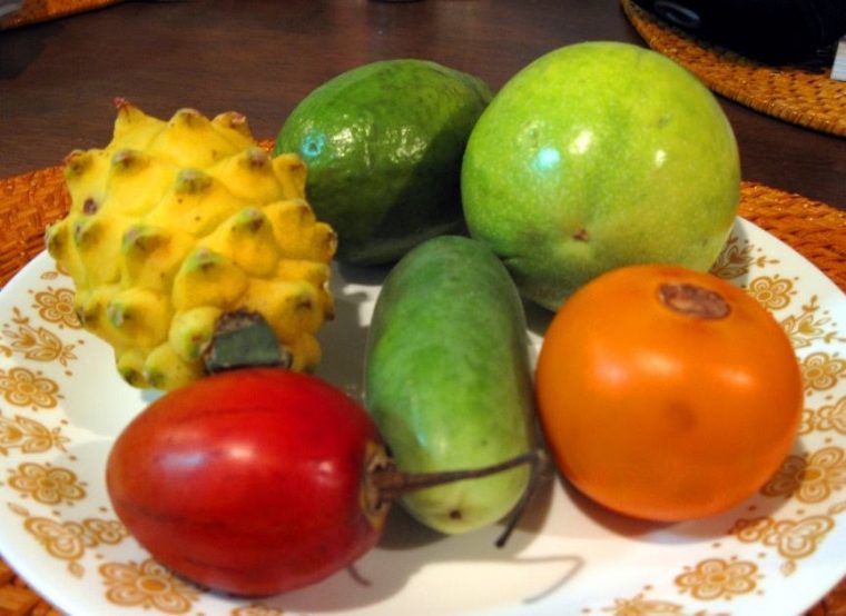 Travel Journal: Colombian Fruit à Fruits Oranges