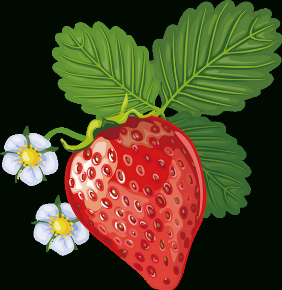 Tube Fruit, Fraise Png, Dessin _ Strawberry Clipart, Food concernant Fraise Dessin 