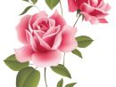 Tubes Fleurs - Manola - Scrap En 2020  Art Floral, Dessin De Roses à Une Rose En Dessin
