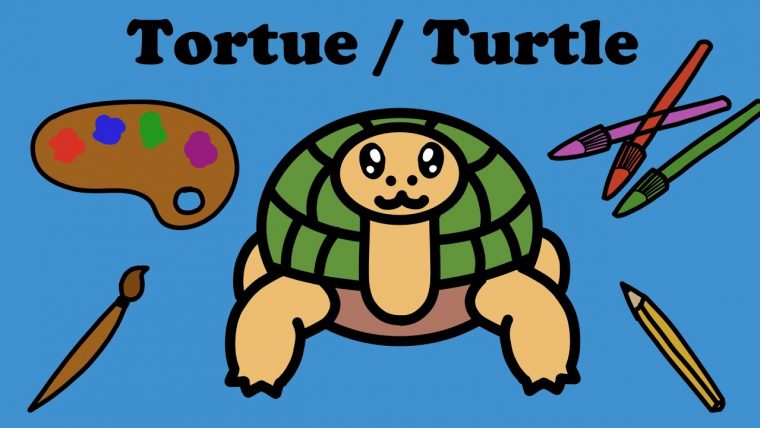 Tuto Dessin : Tortue Facile – encequiconcerne Dessin Tortue Facile