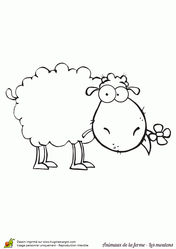 Un Mouton Portant Une Fleur Dans Sa Bouche, À Colorier  Coloriage dedans Mouton A Colorier