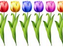 Une Fleur De Tulipe Illustration De Vecteur. Illustration Du intérieur Dessin De Tulipe
