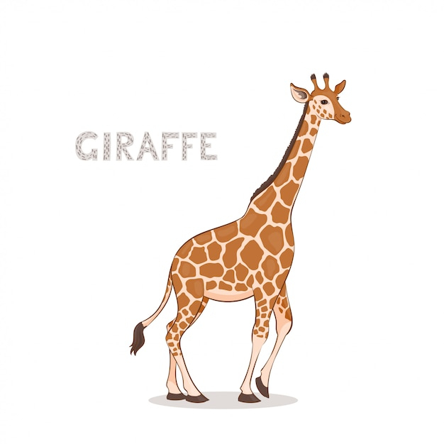 Une Girafe De Dessin Animé  Vecteur Premium à Dessin Girafe