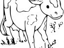 Veau Dessin Facile - Coloriage Tete De Vache Dessin Animaux À Imprimer intérieur Dessin De Vache À Imprimer