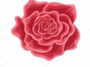 Vecteur Icône De La Fleur De Rose Isolé Sur Fond Blanc — Image dedans Une Rose En Dessin
