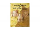 Véritable Histoire Des 3 Petits Cochons - Mijade - Albums À Partir De 3 tout Histoire 3 Petit Cochon