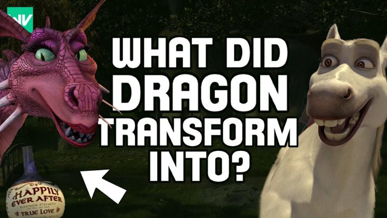 What Did Dragon Transform Into?  Shrek 2 Explained – dedans Dragonne Shrek