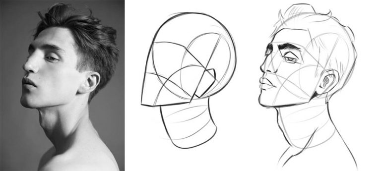 Zephy  Comment Dessiner Un Visage : Les Bases Du Portrait pour Dessiner Les Visages