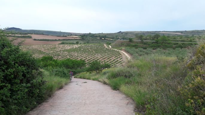 el camino túra