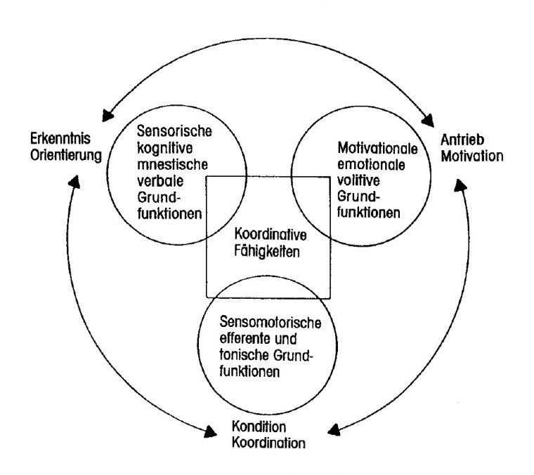 koordinative und konditionelle fähigkeiten