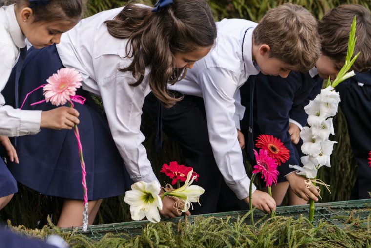 blumenfest madeira 2022 programm