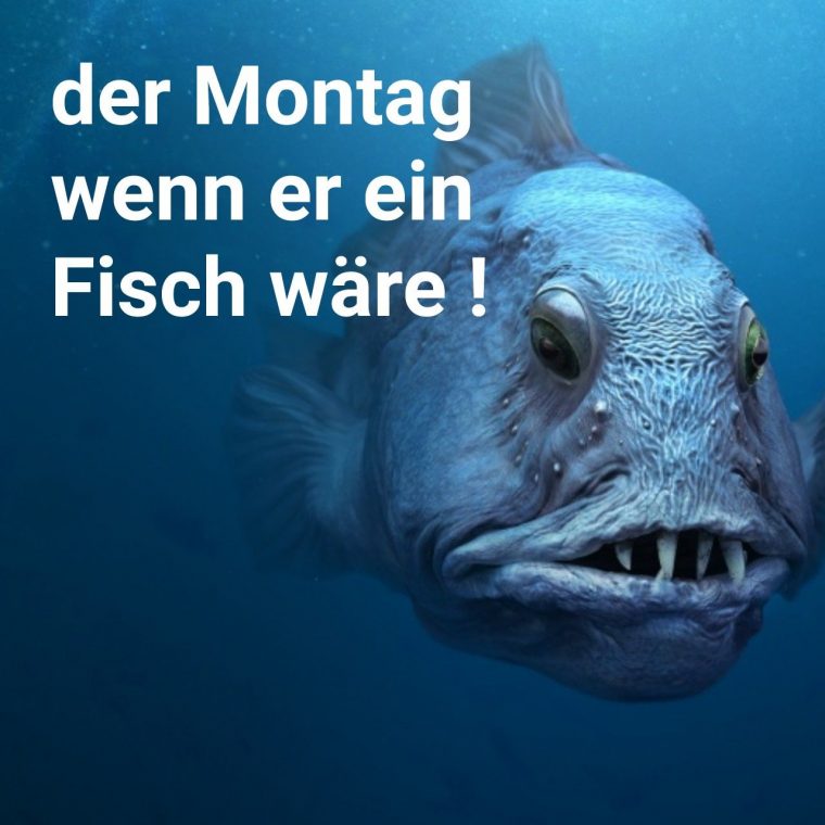 fisch gedicht lustig