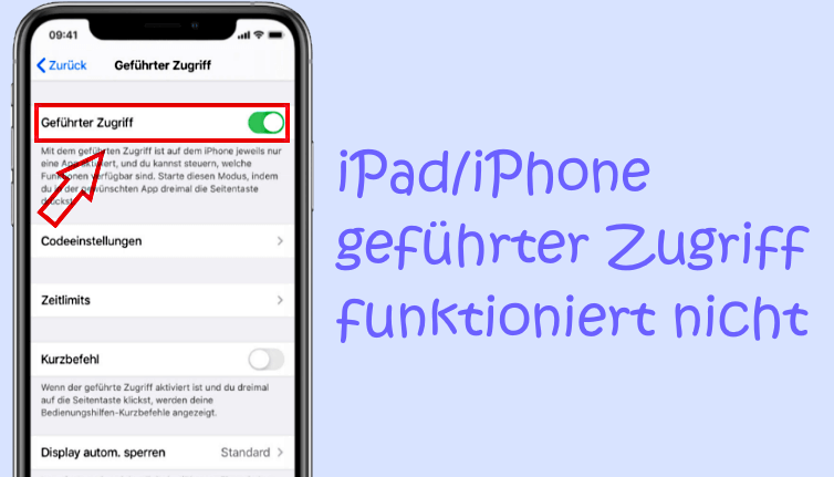 geführter zugriff funktioniert nicht