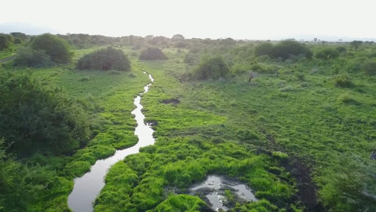 meru national park lodges