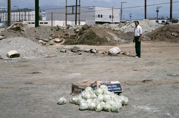 jeff wall milk