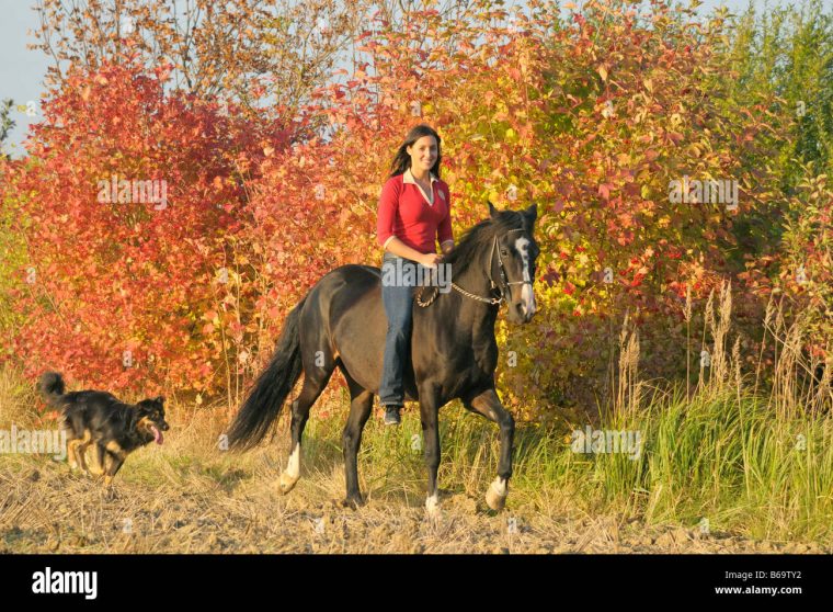 auf hund reiten