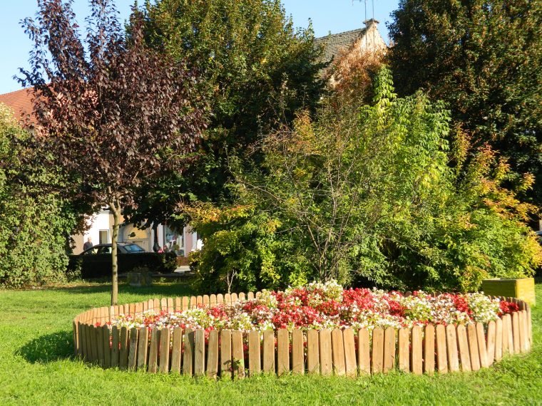 bordure de jardin en bois pas cher