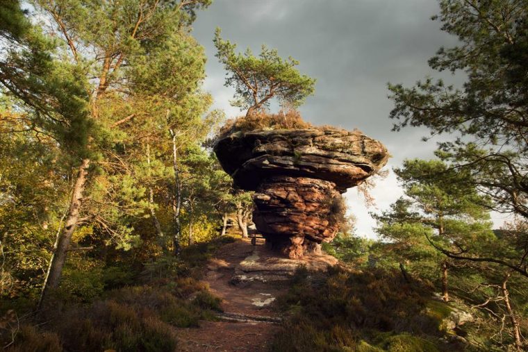 runder steifer hut