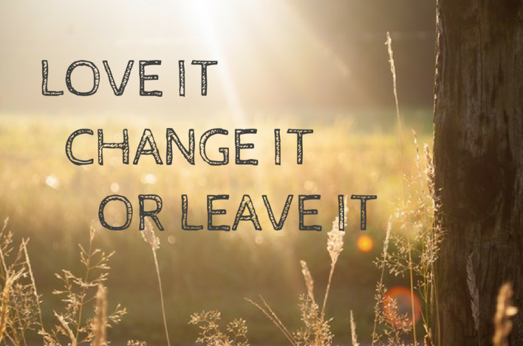 leave it love it or change it