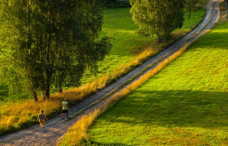 nach dem essen sollst du ruhn