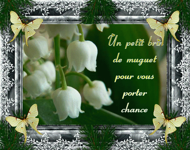 1. Mai, Daylilies, Calla Lily, Lily Of The Valley, Special Day, Happy avec Muguet Images Gratuites Gif 