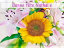 12 742-Juillet 2016 Une Bonne Fête Aux Nathalie(S)De Center à Bonne Fete Nathalie fascinant