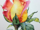40 Very Easy Watercolor Painting Ideas For Beginners  Aquarelle Facile concernant Fleur Aquarelle Simple intéressant