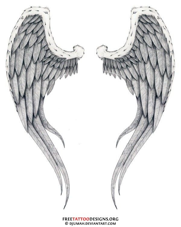 Angel Wing Outline, Dark Angel Wings, Angel Wings Drawing, Angel Wings serapportantà Ailes D Ange 