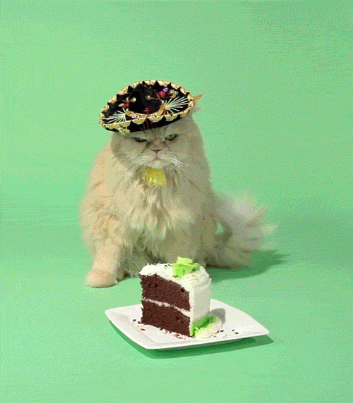 Angry Happy Birthday Gif By Birthday Bot - Find &amp;amp; Share On Giphy concernant Anniversaire Humour Gif génial 