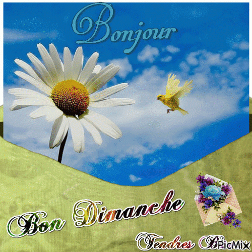 Bonjour Bon Dimanche - Free Animated Gif - Picmix encequiconcerne Gif Bon Dimanche