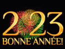 Bonne Année, Bonne Santé! 2023 Gif.  Funimada à Gif Animé Nouvel An Gratuit