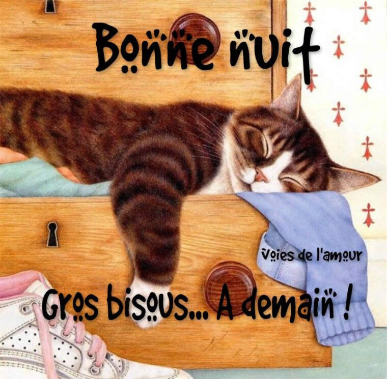 Bonne Nuit, Gros Bisous À Demain ! Image #6711 – Bonnesimages serapportantà Coeur Image Bonne Nuit Bisous