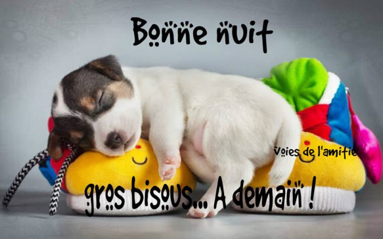 Bonne Nuit, Gros Bisous À Demain! Image #6986 – Bonnesimages serapportantà Coeur Image Bonne Nuit Bisous intéressant