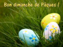 Carte-Gratuite-Paques  Easter Egg Painting, Egg Hunt, Easter Eggs avec Bon Week End De Paques