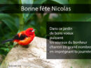 Cartes Virtuelles Bonne Fête Nicolas tout Bonne Fete Nicolas intéressant